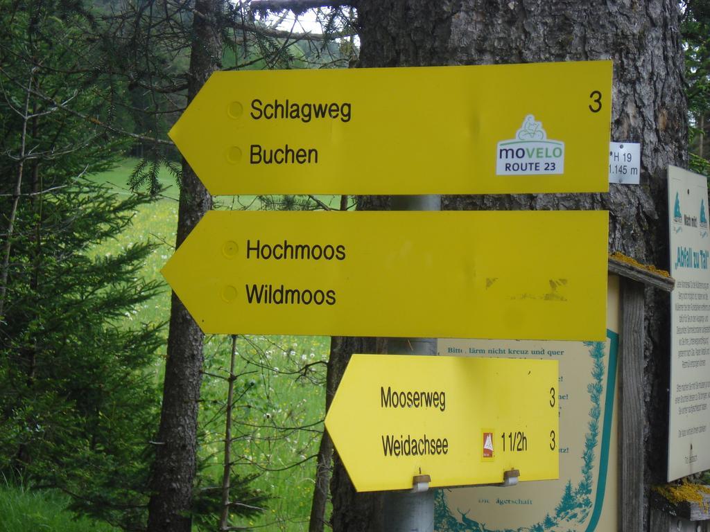 Ferienwohnungen Rauth Leutasch Exterior foto