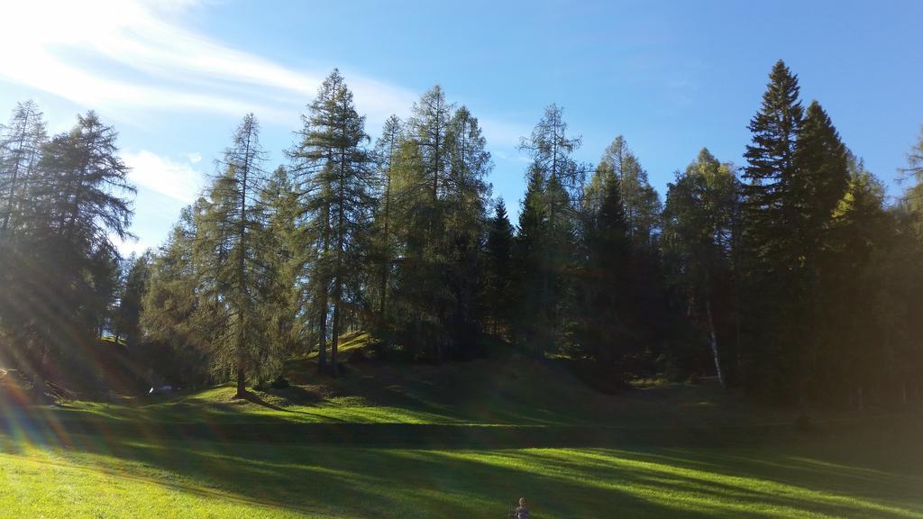 Ferienwohnungen Rauth Leutasch Exterior foto