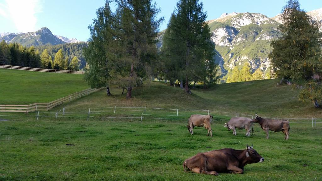 Ferienwohnungen Rauth Leutasch Exterior foto